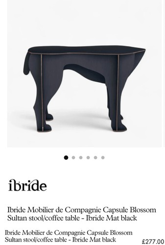 Ibride sultan dog - ibride,